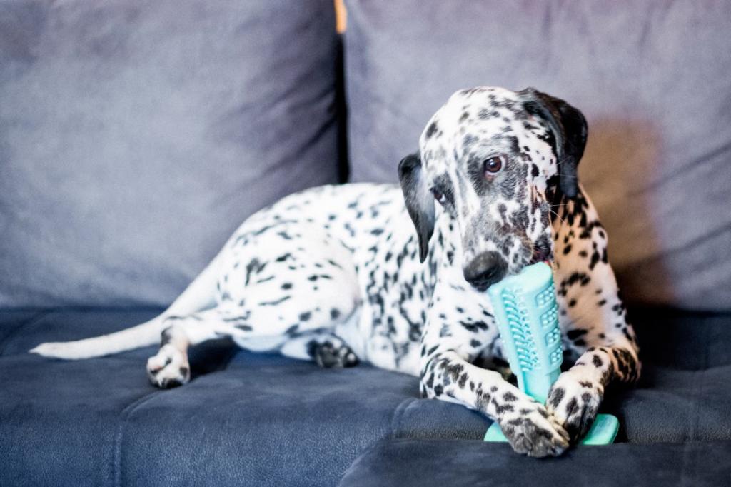 игрушка для чистки зубов собаке