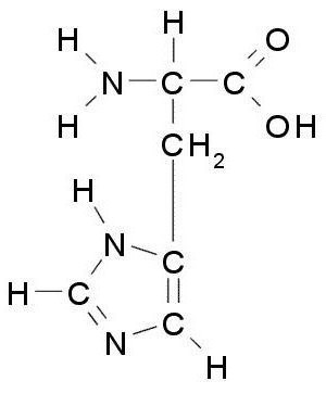 гистидин химические свойства реакции