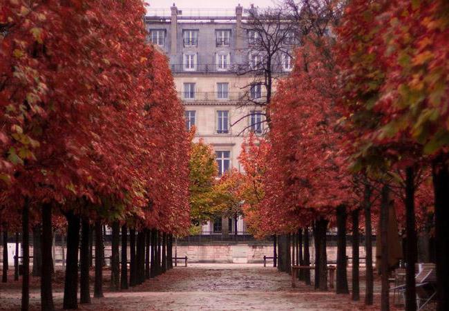 Париж в конце октября