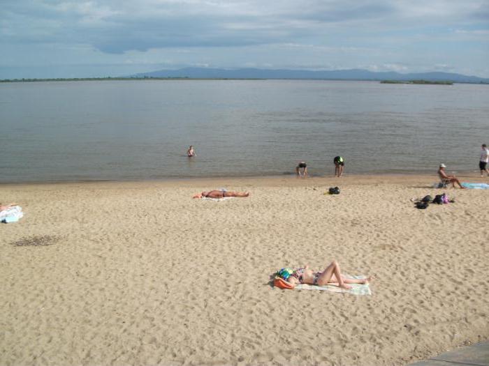 Пляж Дельфин (Хабаровск)