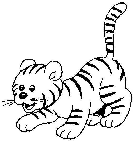 как нарисовать тигренка