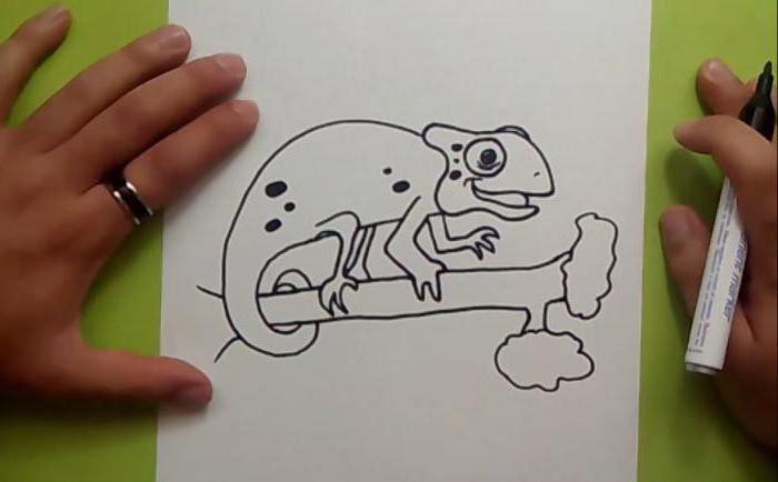 как нарисовать хамелеона поэтапно для начинающих