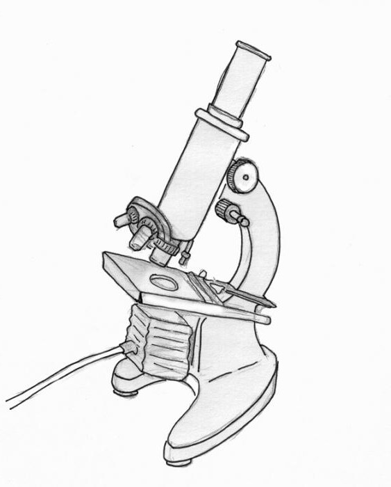 как нарисовать световой микроскоп
