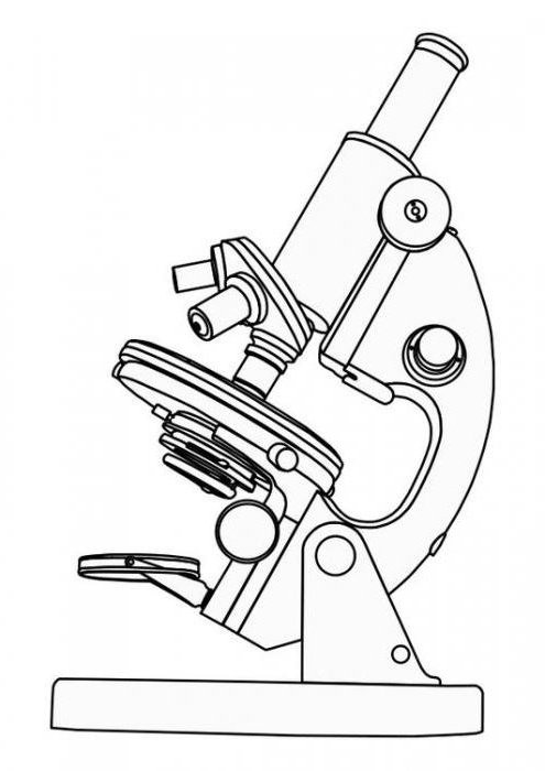  как нарисовать микроскоп карандашом поэтапно