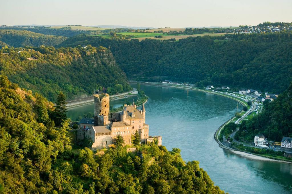 Замки на берегах Рейна