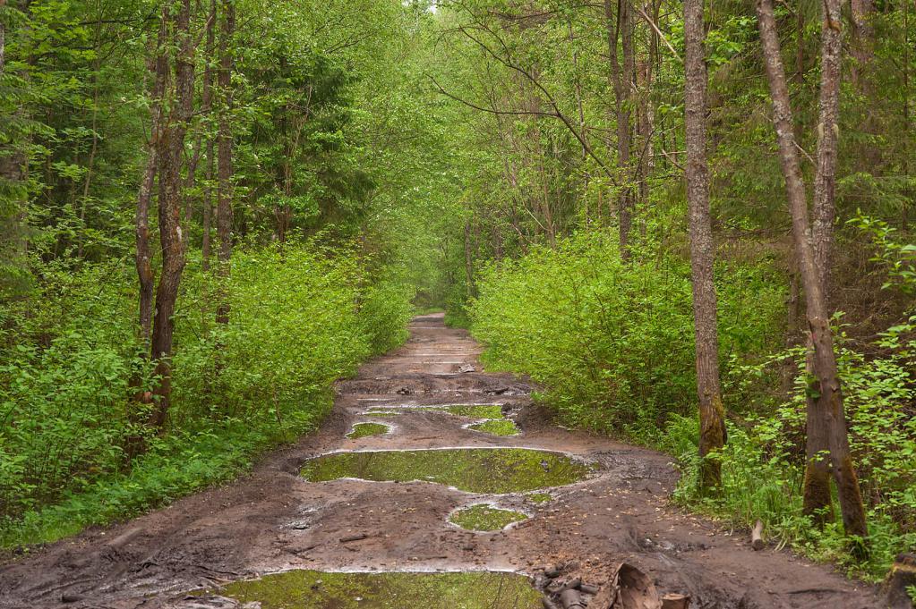 дорога в село