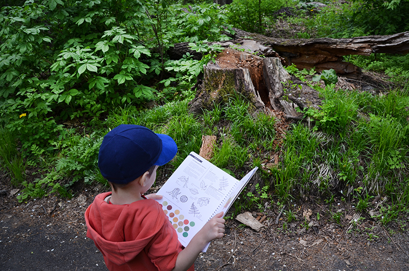 ребенок изучает природу