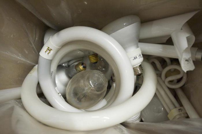 правила утилизации энергосберегающих ламп