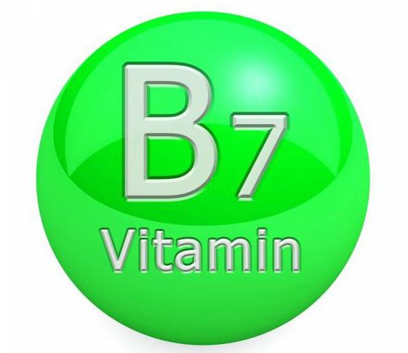 б7 витамин
