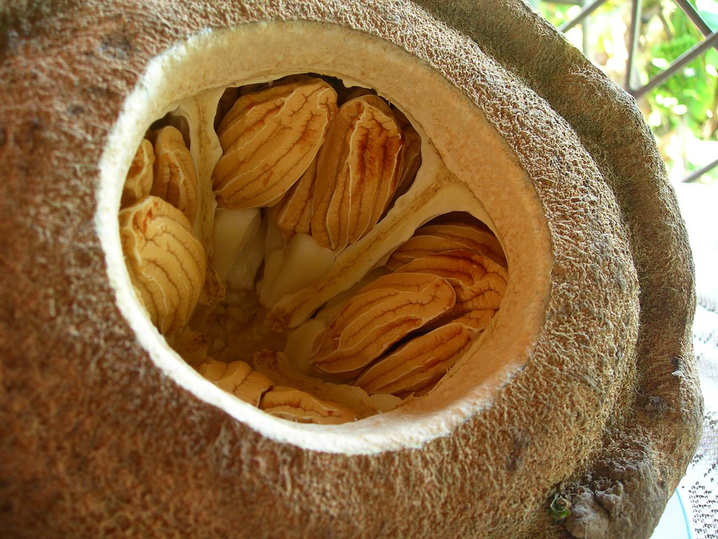 бразильский орех состав