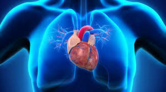 что такое сердечный кашель симптомы