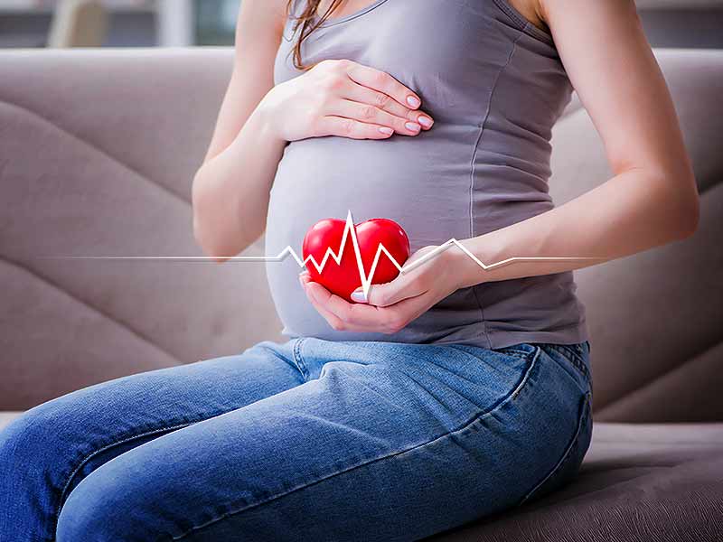 Физиологические изменения в организме женщины во время беременности. Развитие плода и ощущения женщины