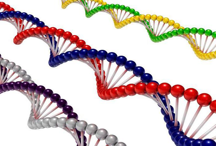 генные мутации связаны