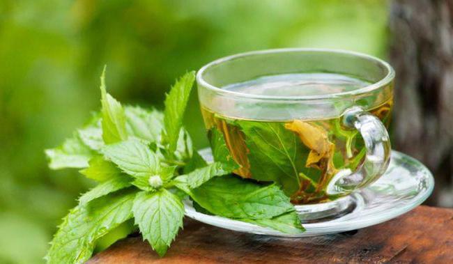 можно ли пить зеленый чай на диете