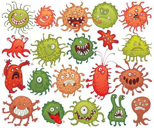 интересные факты о бактериях для детей