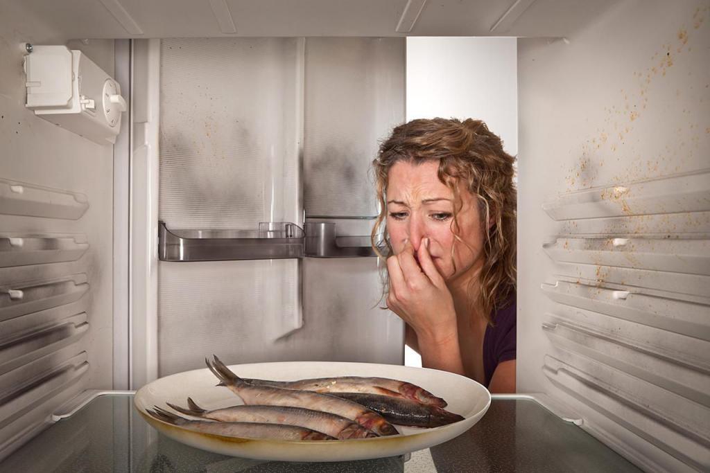 как убрать запах рыбы из холодильника