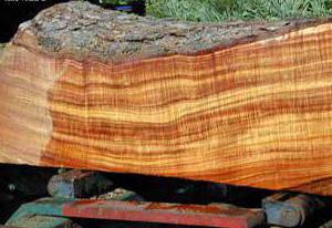 Удельный вес древесины