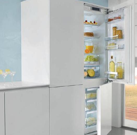 встраиваемый холодильник комби gorenje rki4181a1