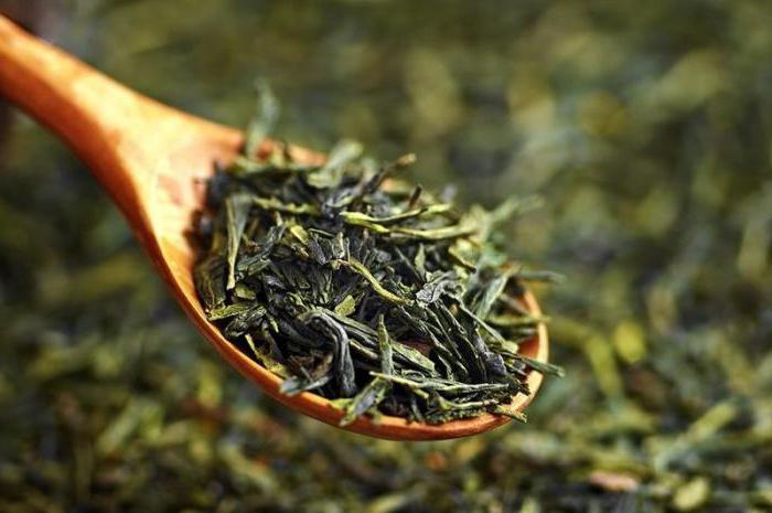 как заварить зеленый чай в термосе 