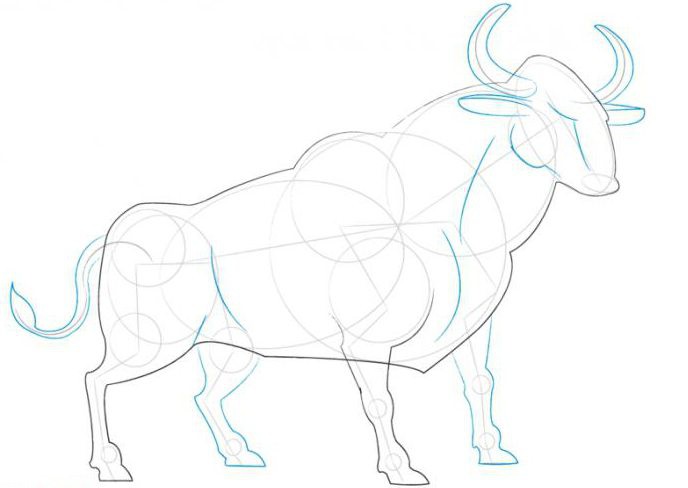 как нарисовать быка 