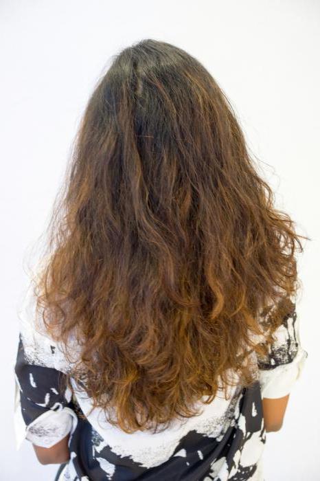 Ботокс для волос: плюсы и минусы, фото, отзывы
