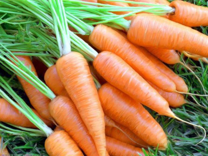 семена моркови ред кор