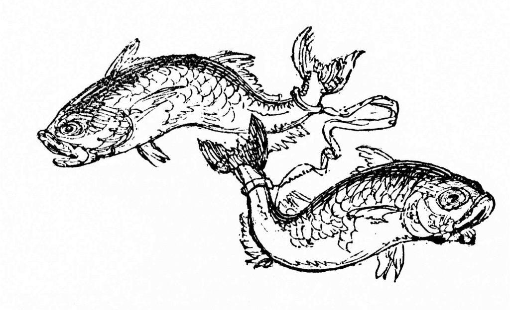 рыба знак зодиака мужчина даты