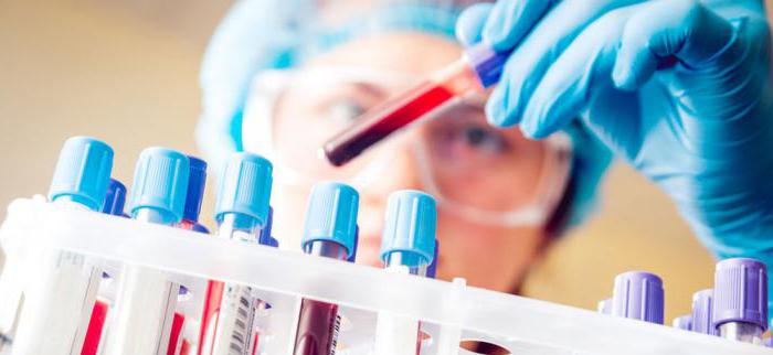 сдача биохимического анализа крови подготовка 