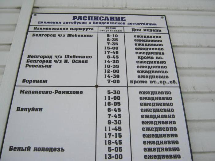 белгород паломнический центр расписание поездок