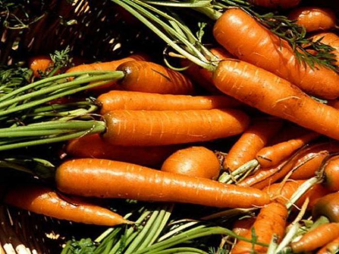 как часто поливать морковь и свеклу в открытом грунте