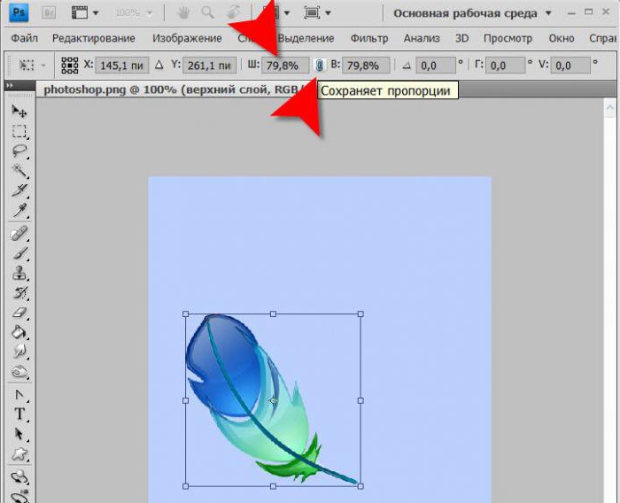  как изменить размер слоя в фотошопе cs6