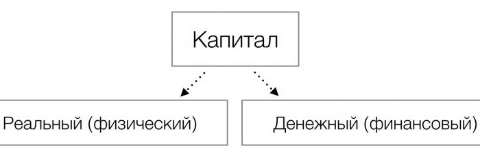 к физическому капиталу относятся