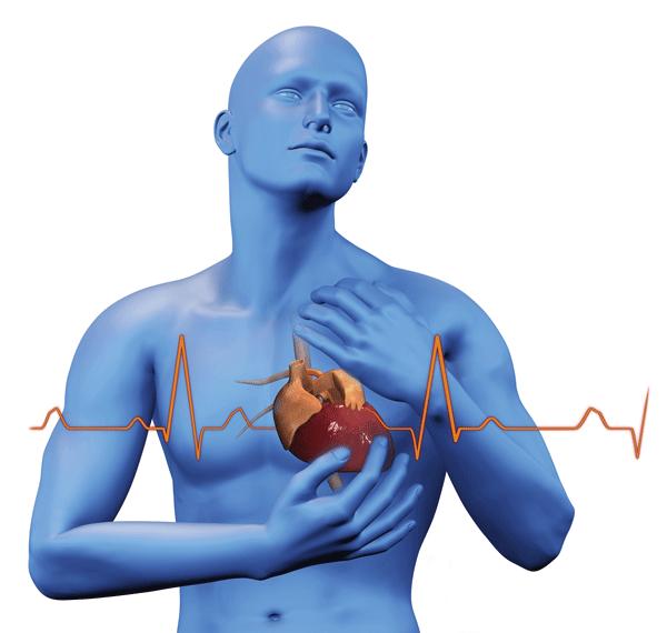 сильные удары сердца при нормальном пульсе