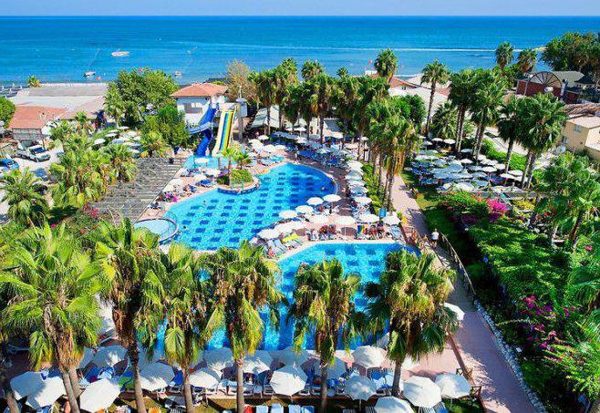 trendy hotel palm beach 5 сиде 