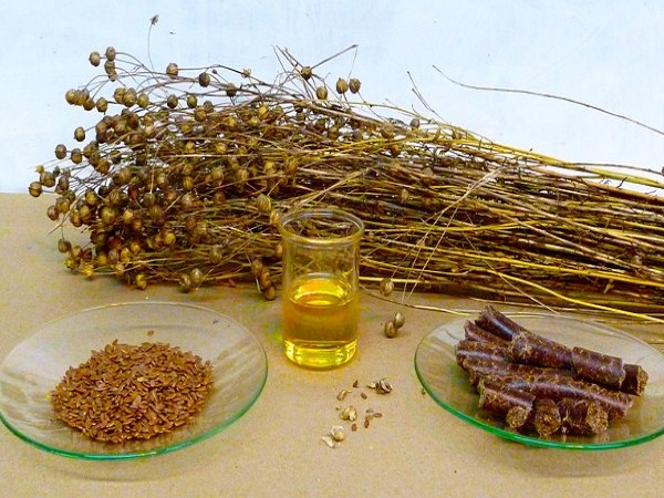 Льняное масло для ресниц: правила применения, результаты, польза и вред