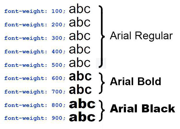 css-font-weight