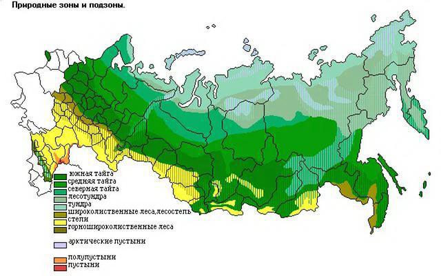 географическое положение степи в россии