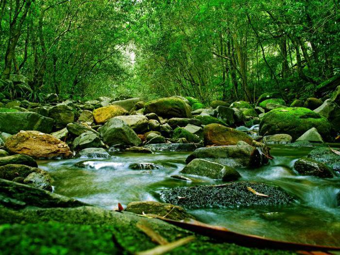 уровень воды в реках