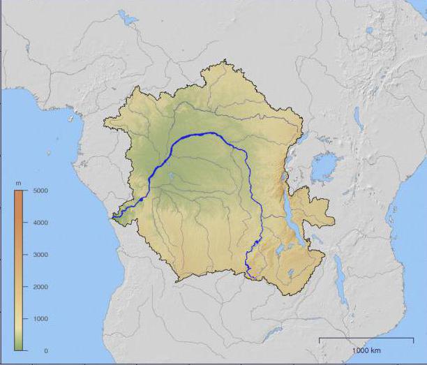 в какой части материка течет река конго