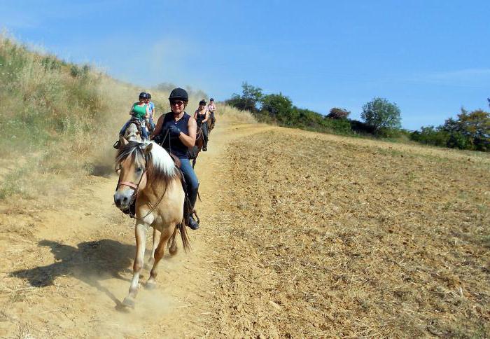 развитие конного туризма в россии