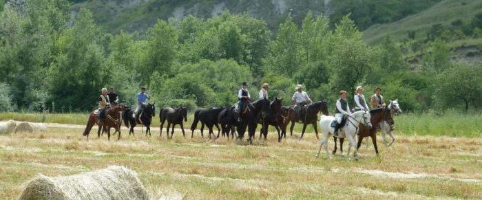 соревнования по конному туризму