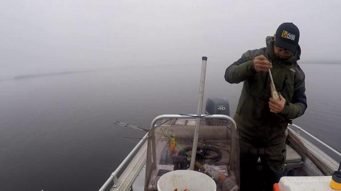 минское море в контакте рыбалка