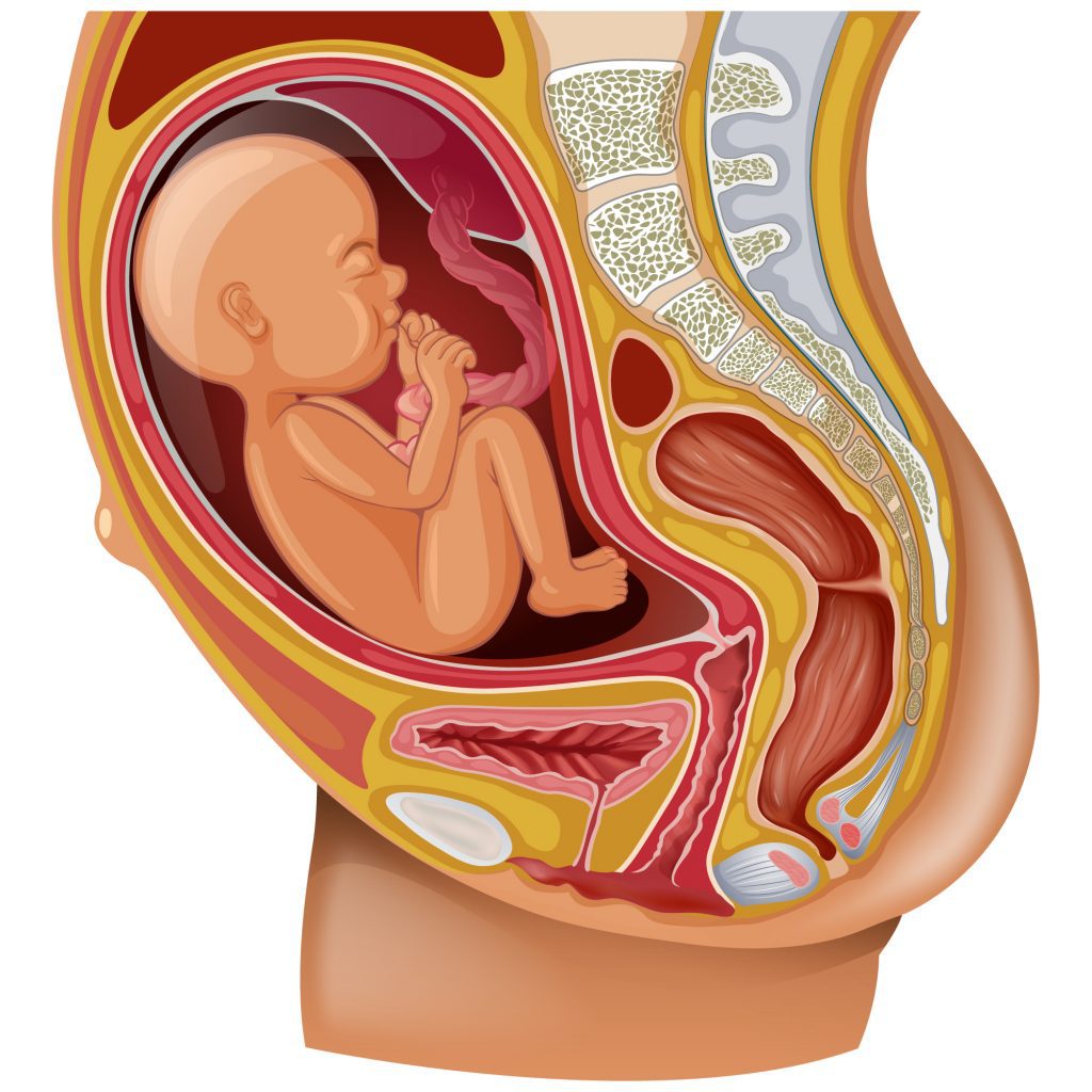 внематочная беременность признаки месячные
