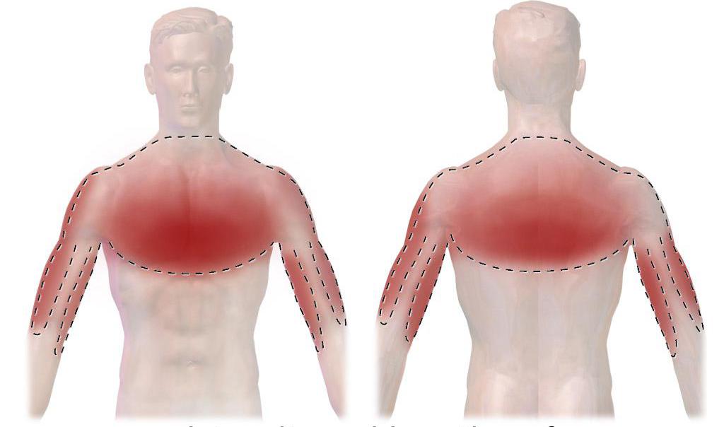 остеохондроз грудного отдела позвоночника лечение гимнастика