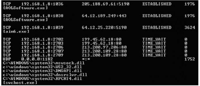 netstat windows