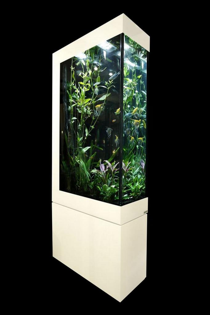 Высокий аквариум - главное украшение любого дома или офиса
