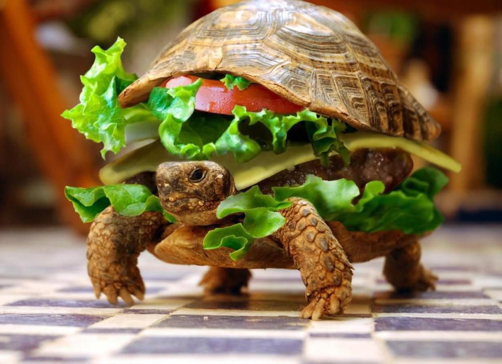 Гигантская черепаха - источник пищи