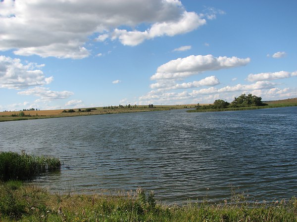 шатское водохранилище фото