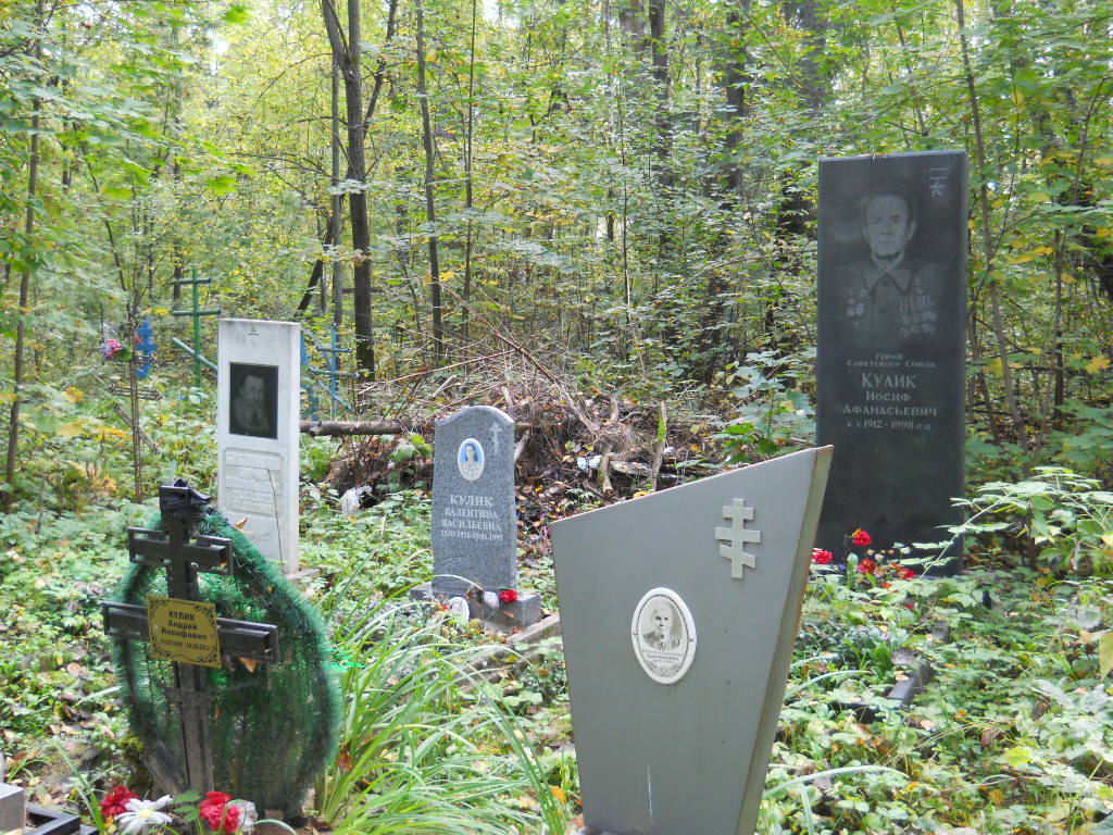 старо марковское кладбище - природа