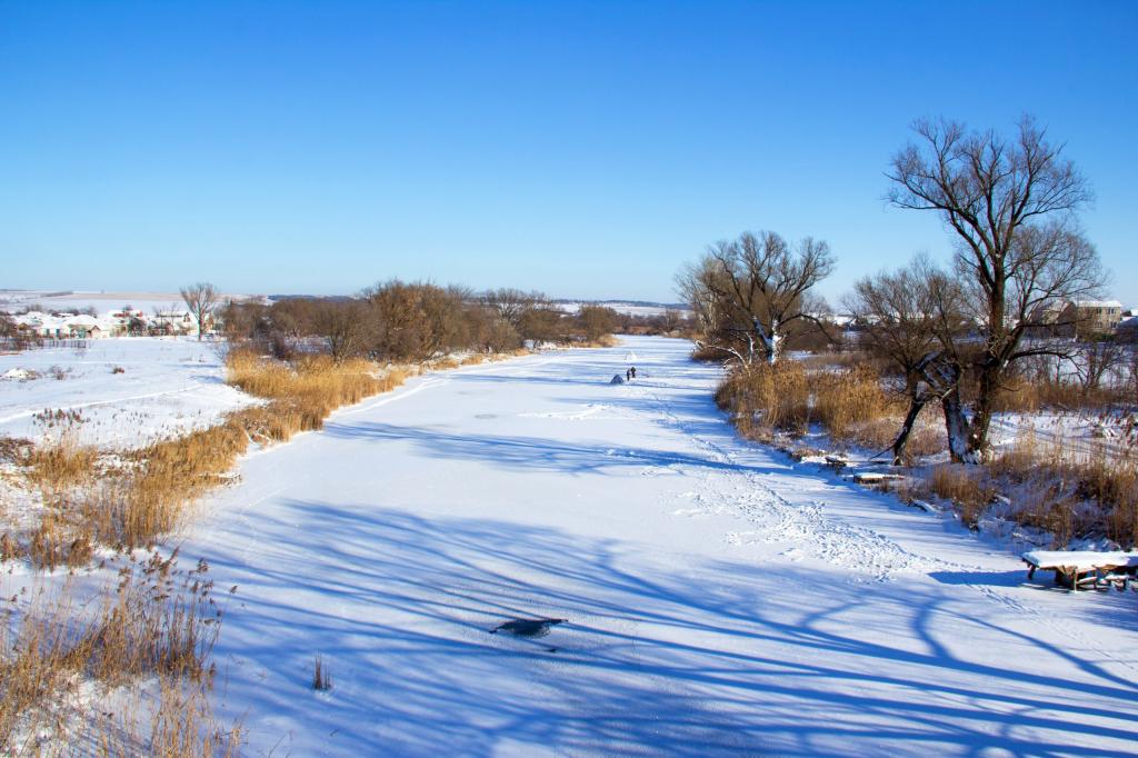 река сосна белгородской области